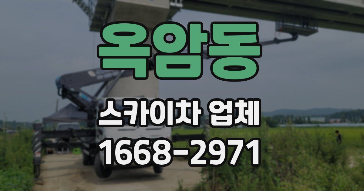 옥암동 스카이차 업체