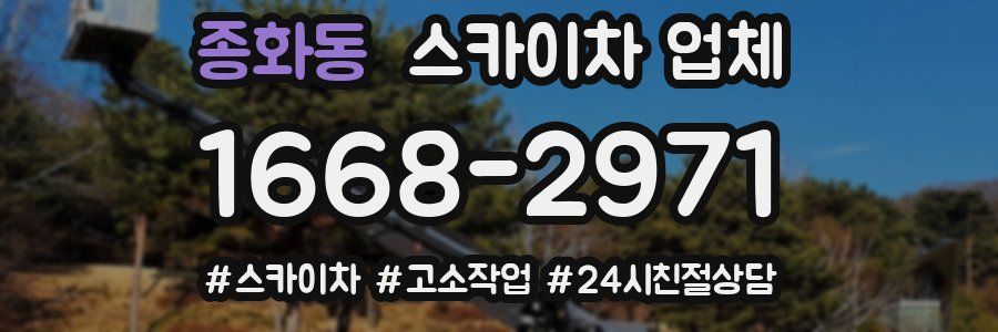 종화동 스카이차 업체