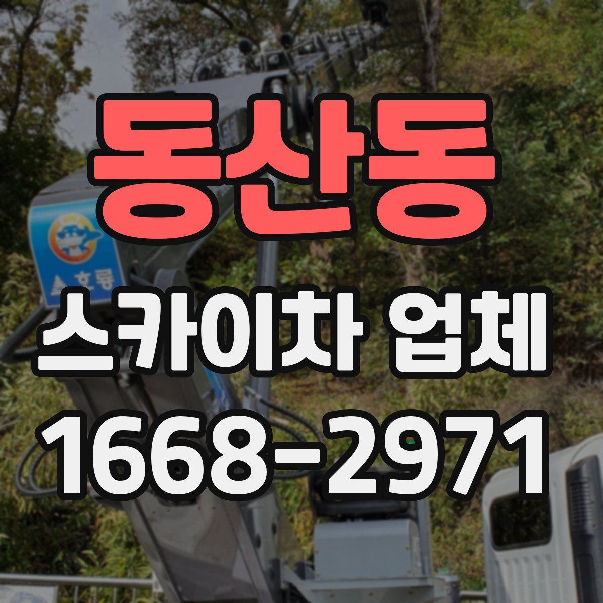 동산동 스카이차 업체