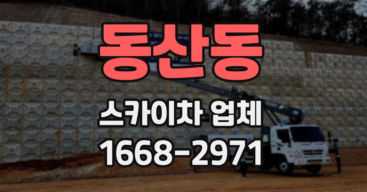 동산동 스카이차 업체