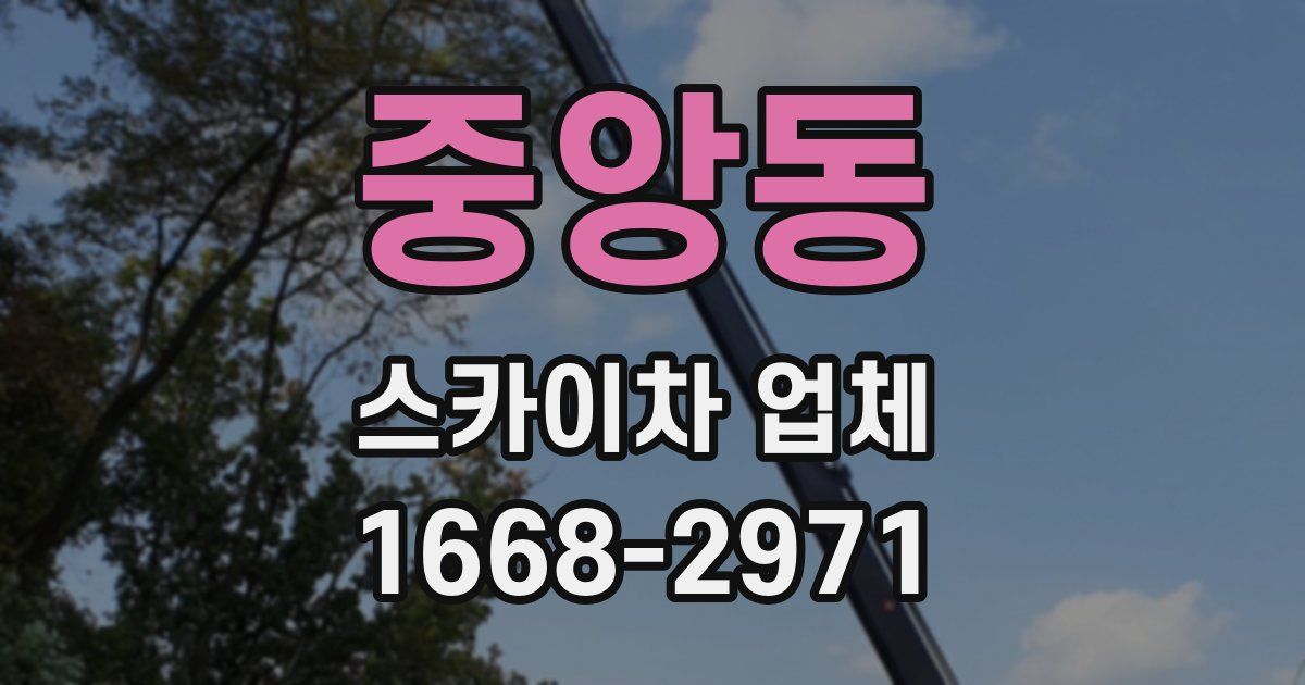 중앙동 스카이차 업체