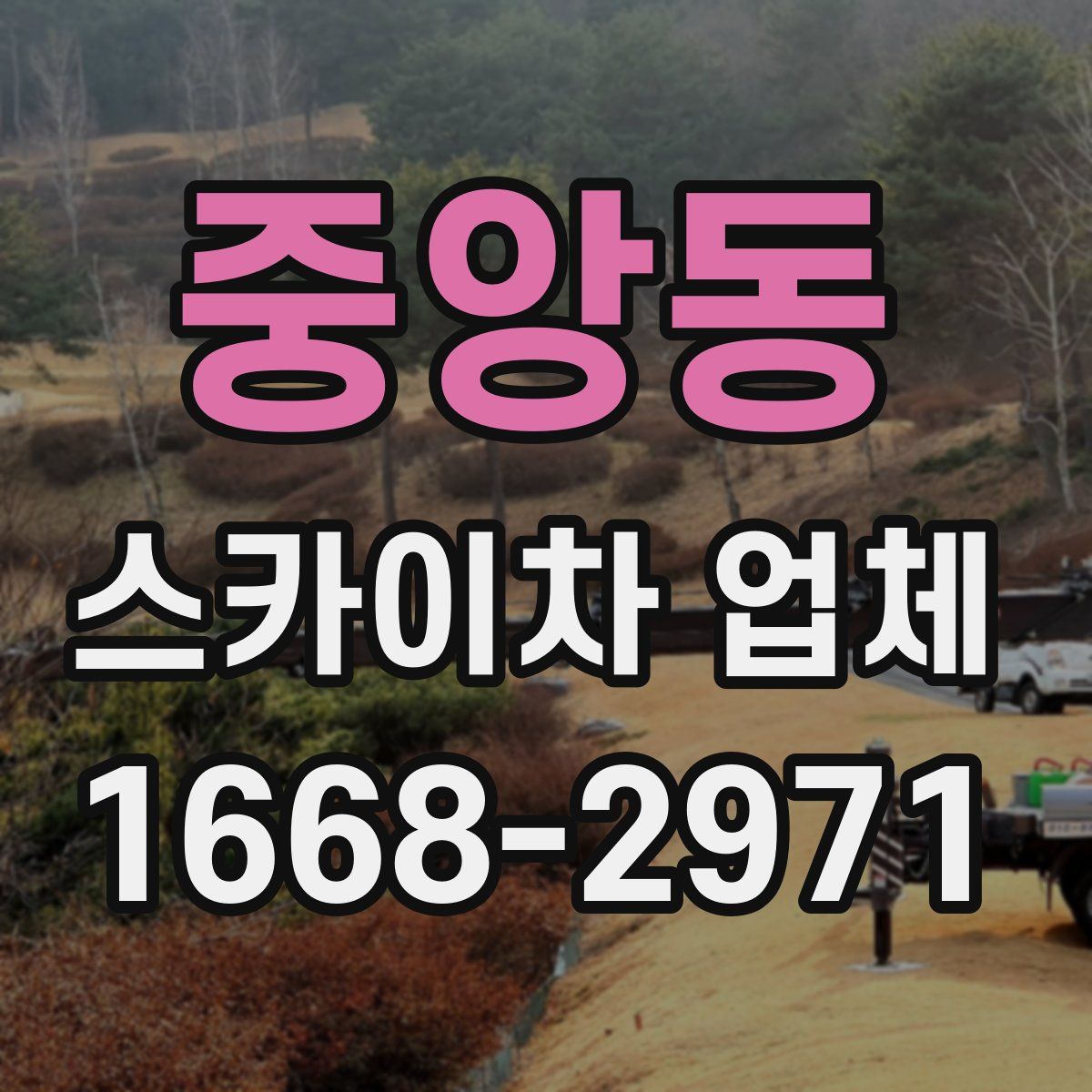 중앙동 스카이차 업체