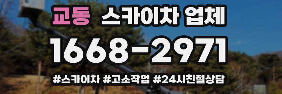 교동 스카이차 업체