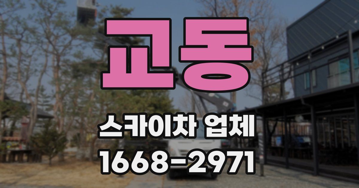 교동 스카이차 업체