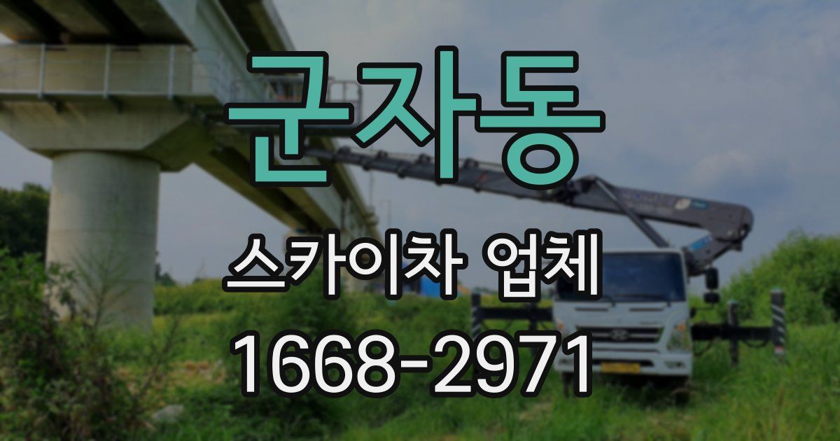 군자동 스카이차 업체