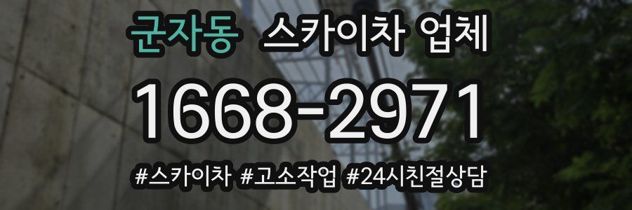 군자동 스카이차 업체