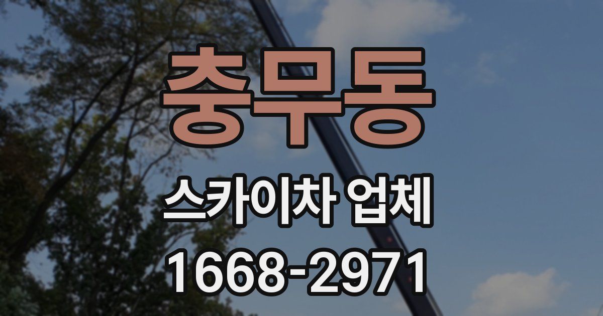 충무동 스카이차 업체