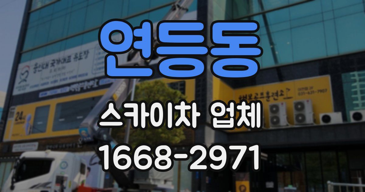 연등동 스카이차 업체