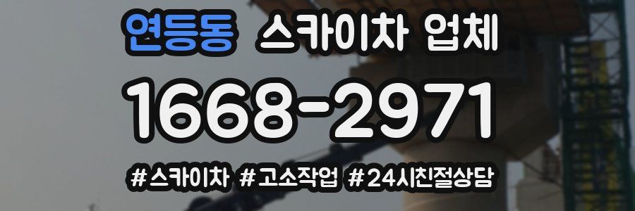 연등동 스카이차 업체