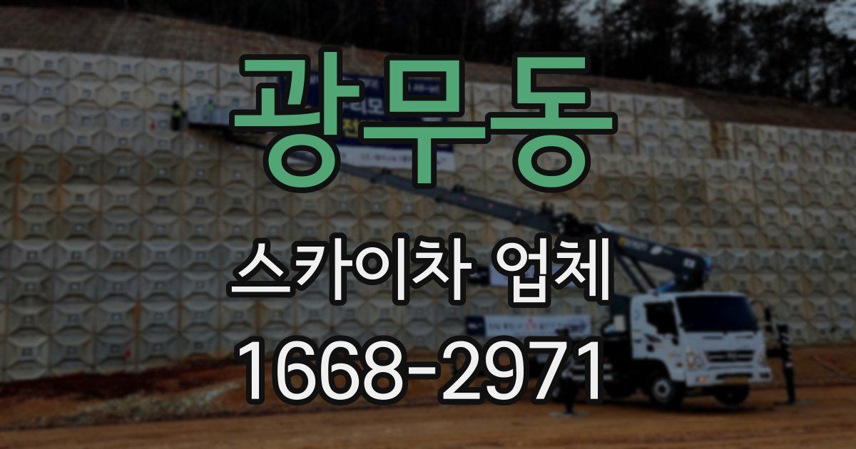 광무동 스카이차 업체