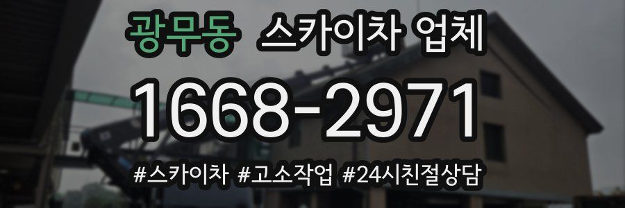 광무동 스카이차 업체