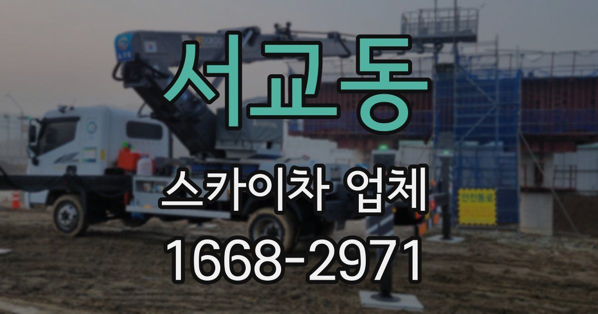 서교동 스카이차 업체