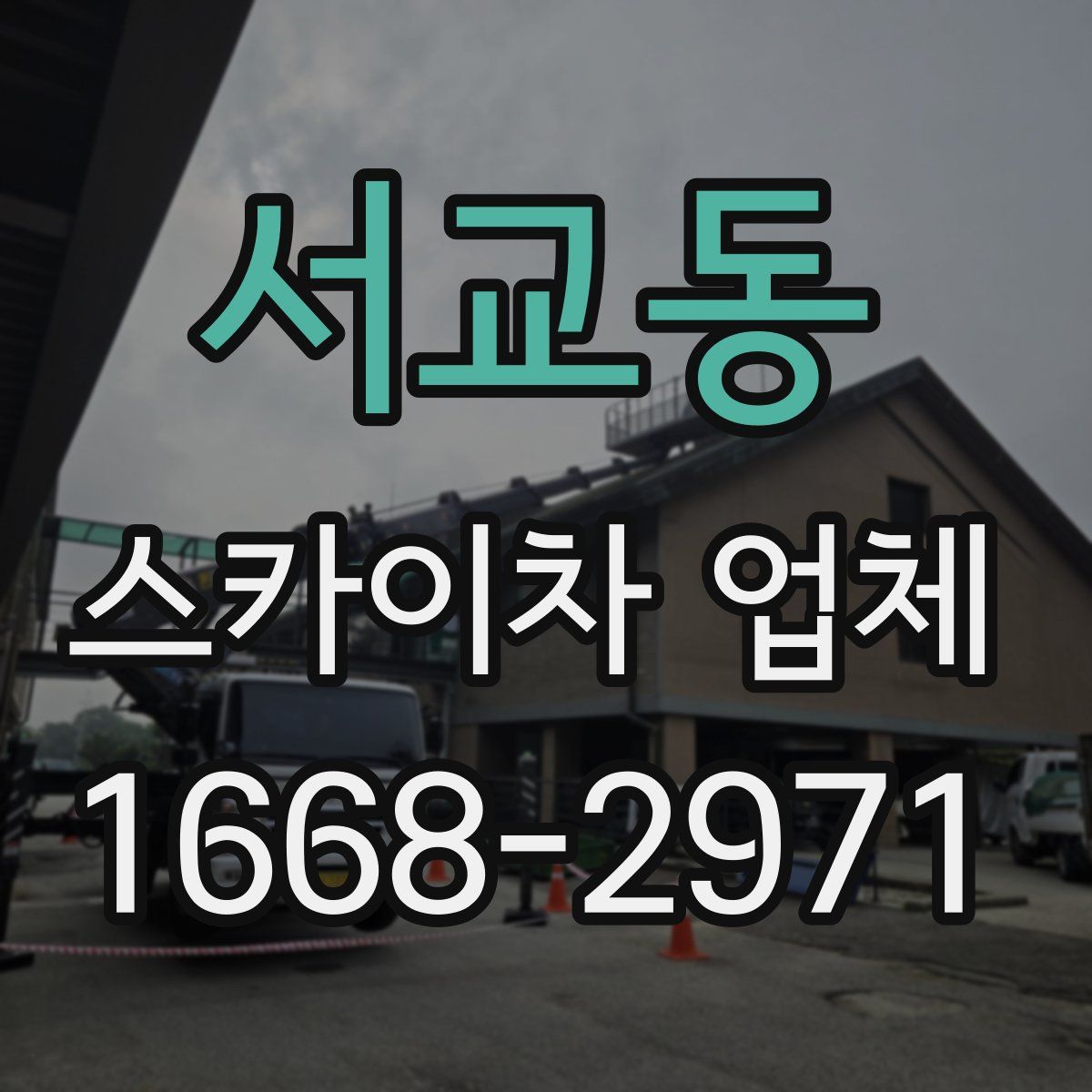 서교동 스카이차 업체