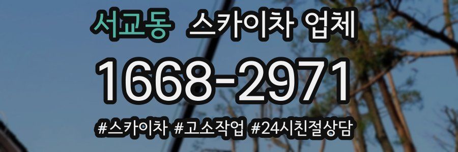 서교동 스카이차 업체