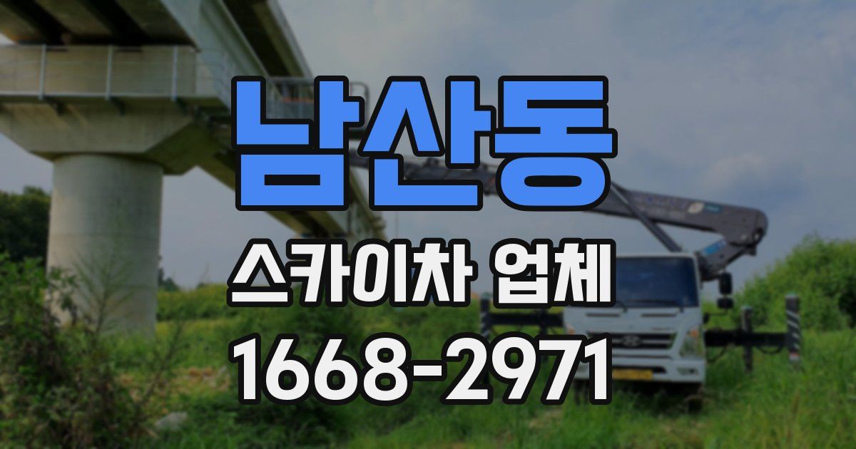 남산동 스카이차 업체