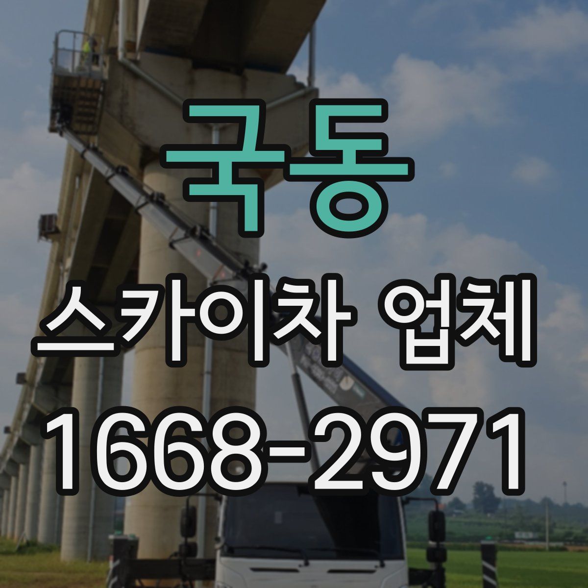 국동 스카이차 업체