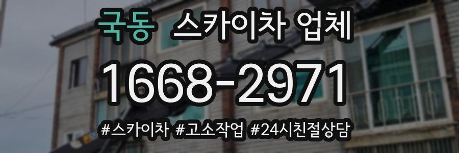국동 스카이차 업체