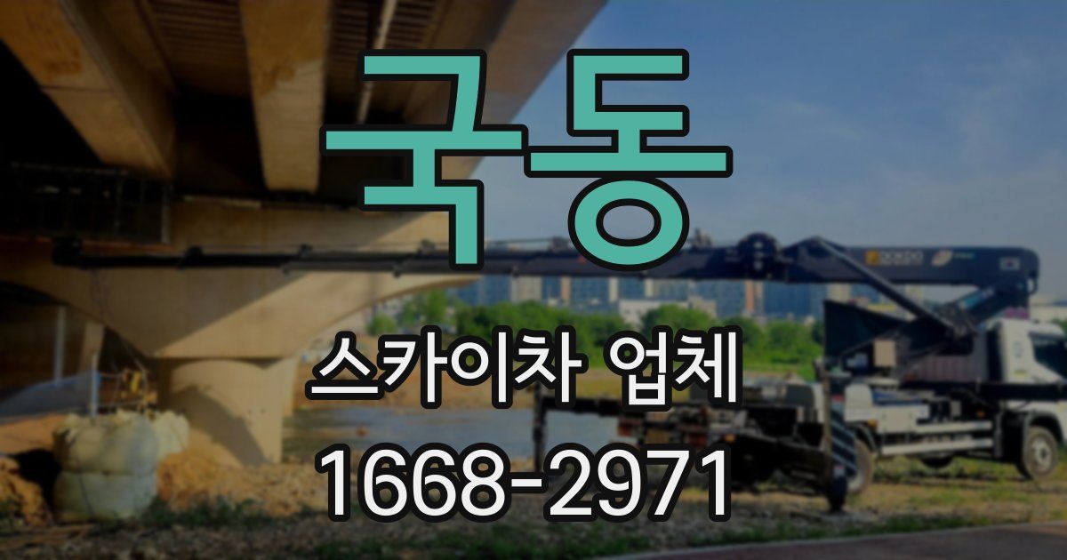 국동 스카이차 업체