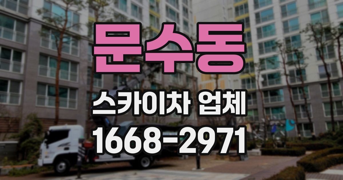 문수동 스카이차 업체