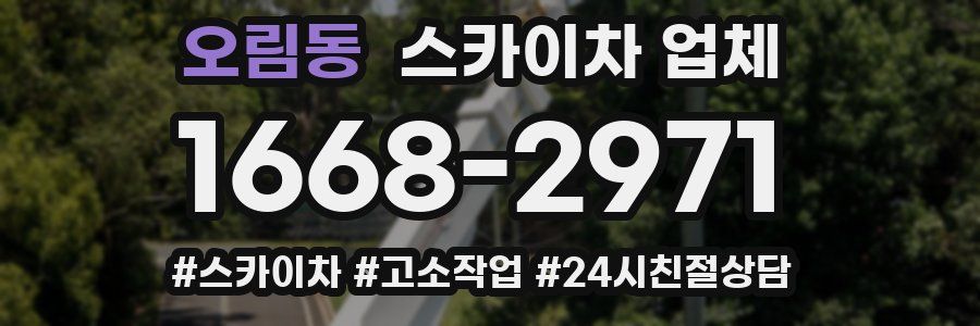 오림동 스카이차 업체