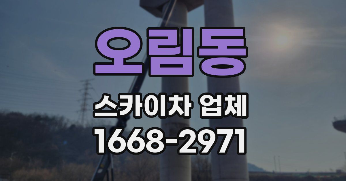 오림동 스카이차 업체