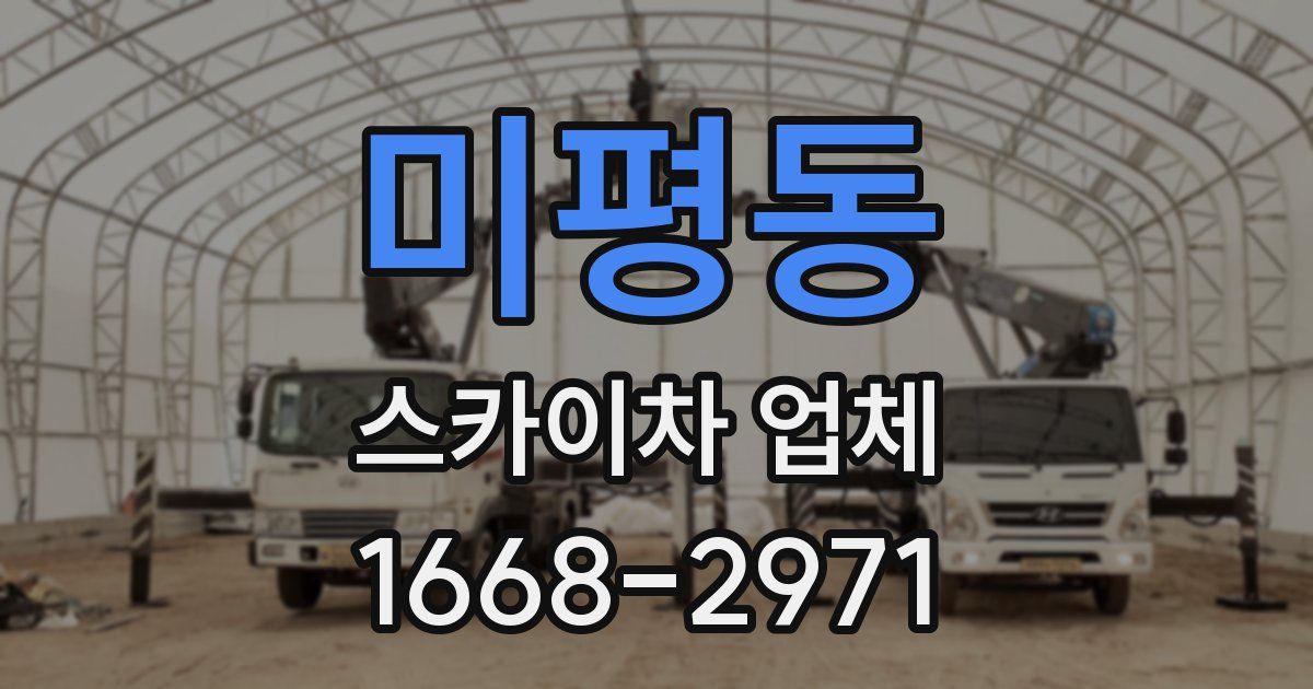 미평동 스카이차 업체
