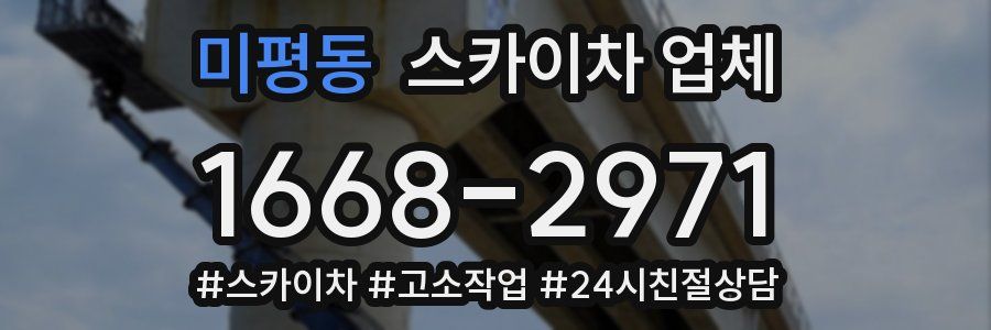 미평동 스카이차 업체