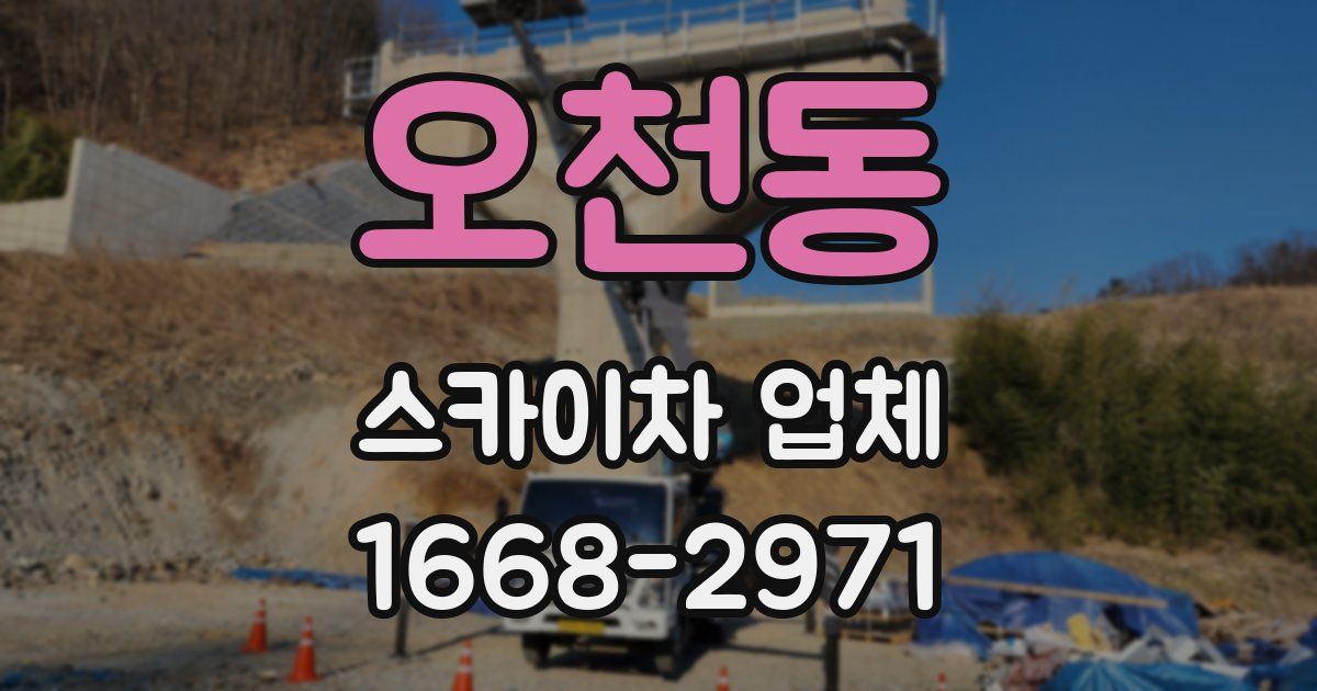 오천동 스카이차 업체