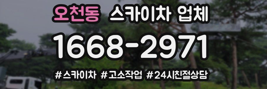 오천동 스카이차 업체