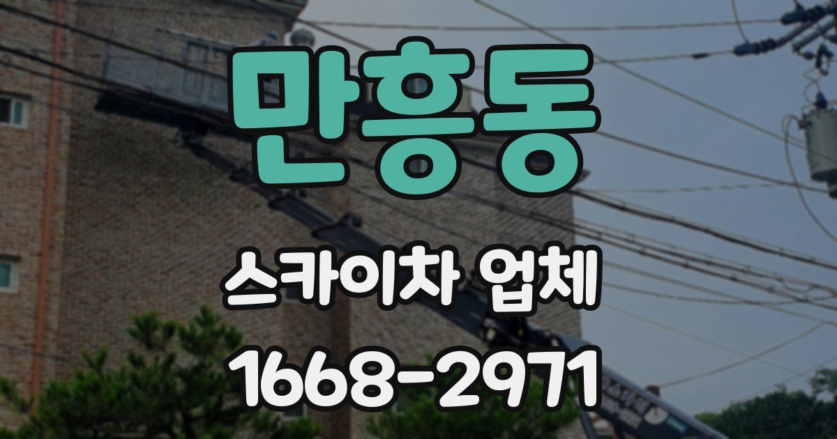 만흥동 스카이차 업체