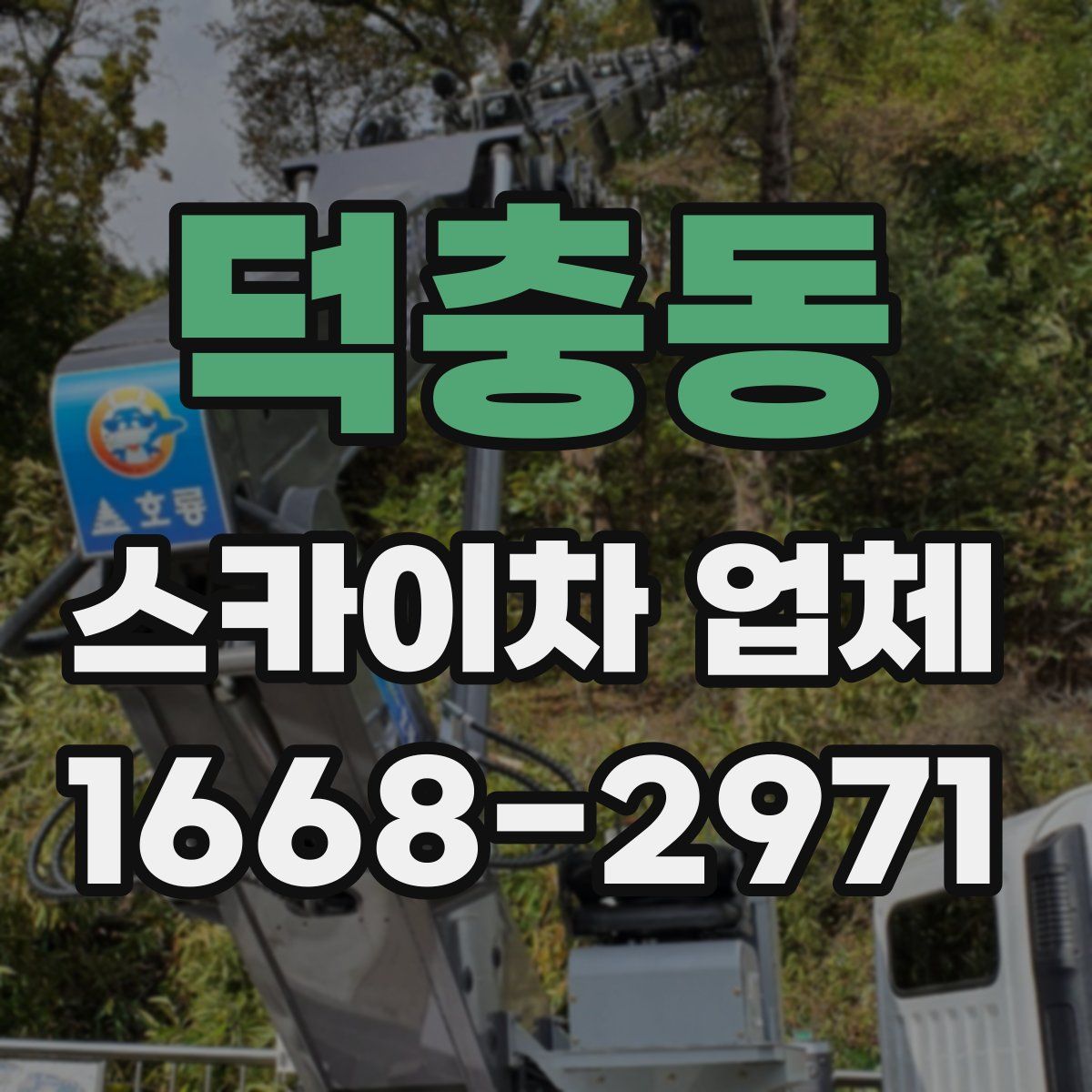 덕충동 스카이차 업체