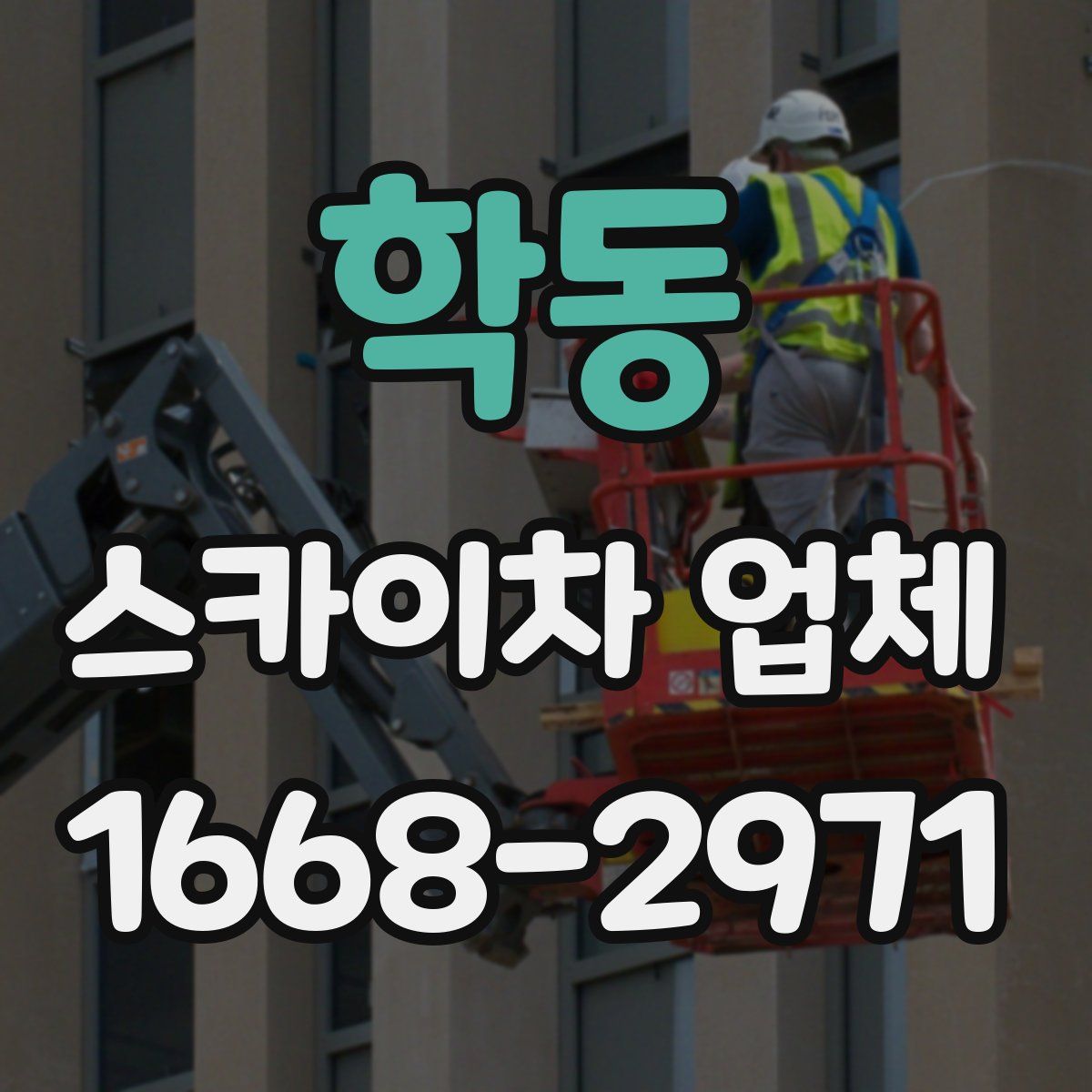 학동 스카이차 업체