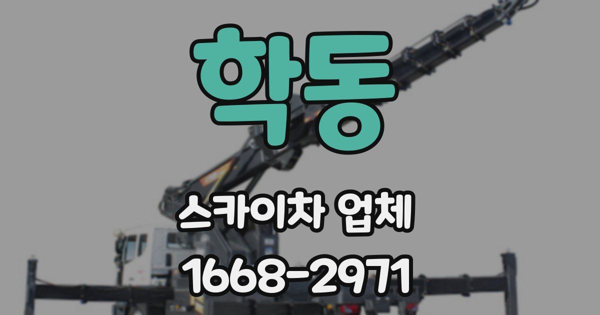 학동 스카이차 업체