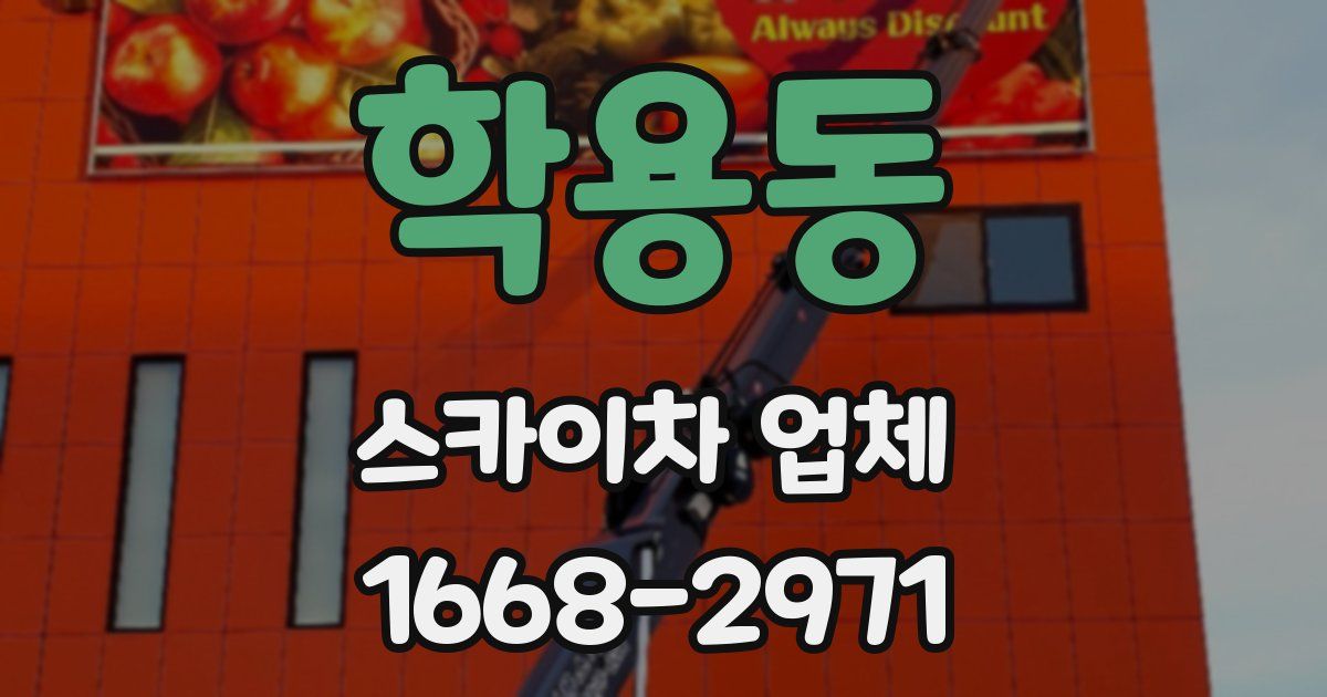 학용동 스카이차 업체