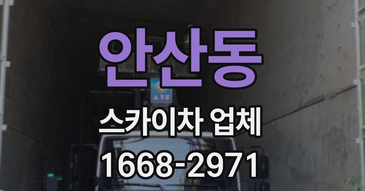 안산동 스카이차 업체