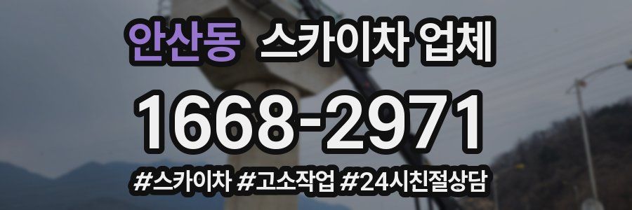 안산동 스카이차 업체