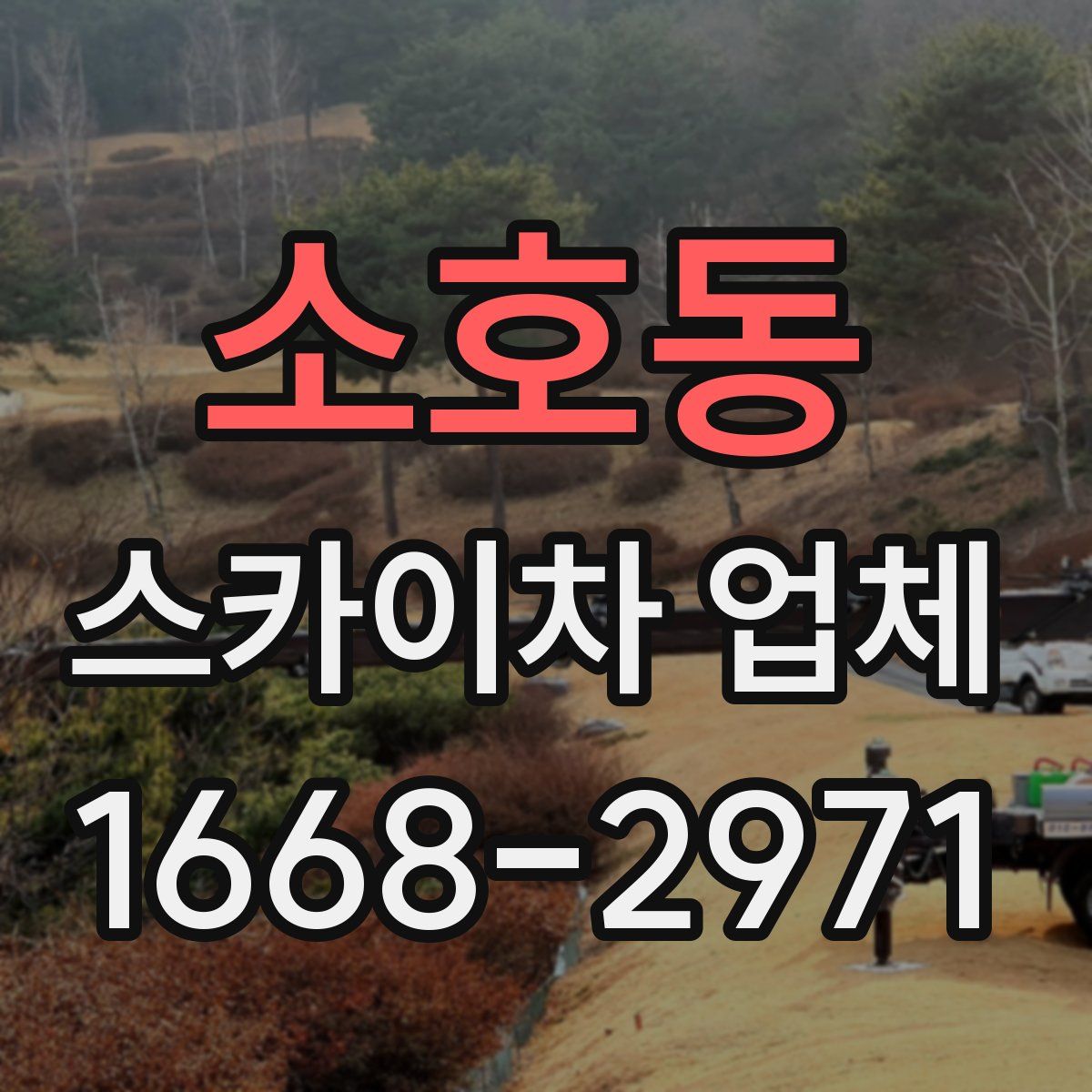소호동 스카이차 업체