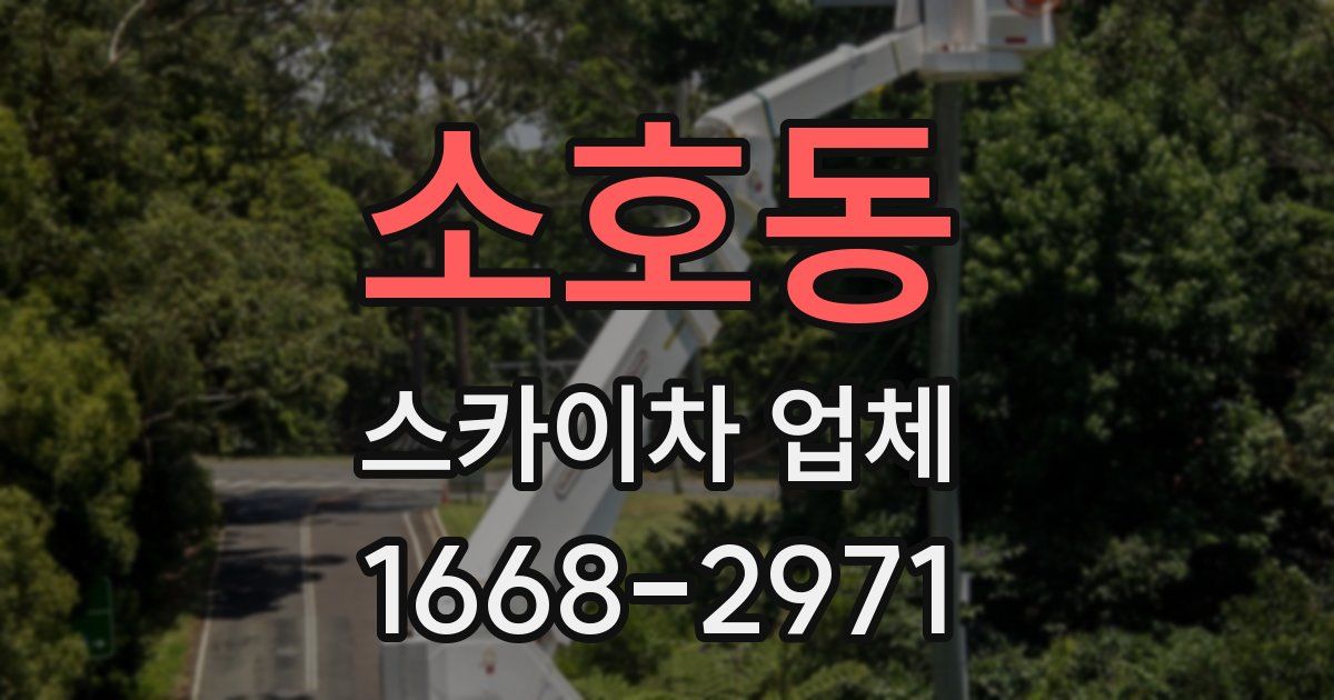 소호동 스카이차 업체