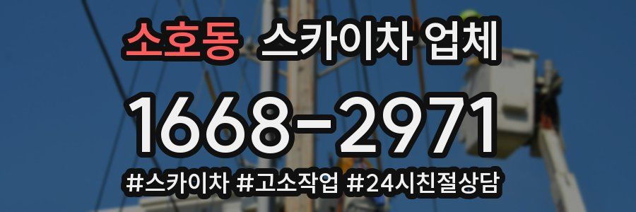 소호동 스카이차 업체