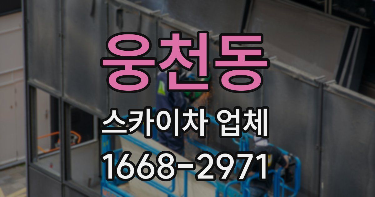 웅천동 스카이차 업체