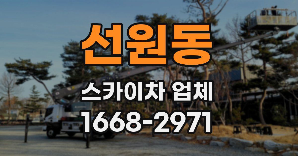 선원동 스카이차 업체