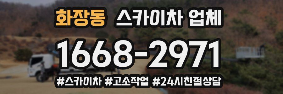 화장동 스카이차 업체