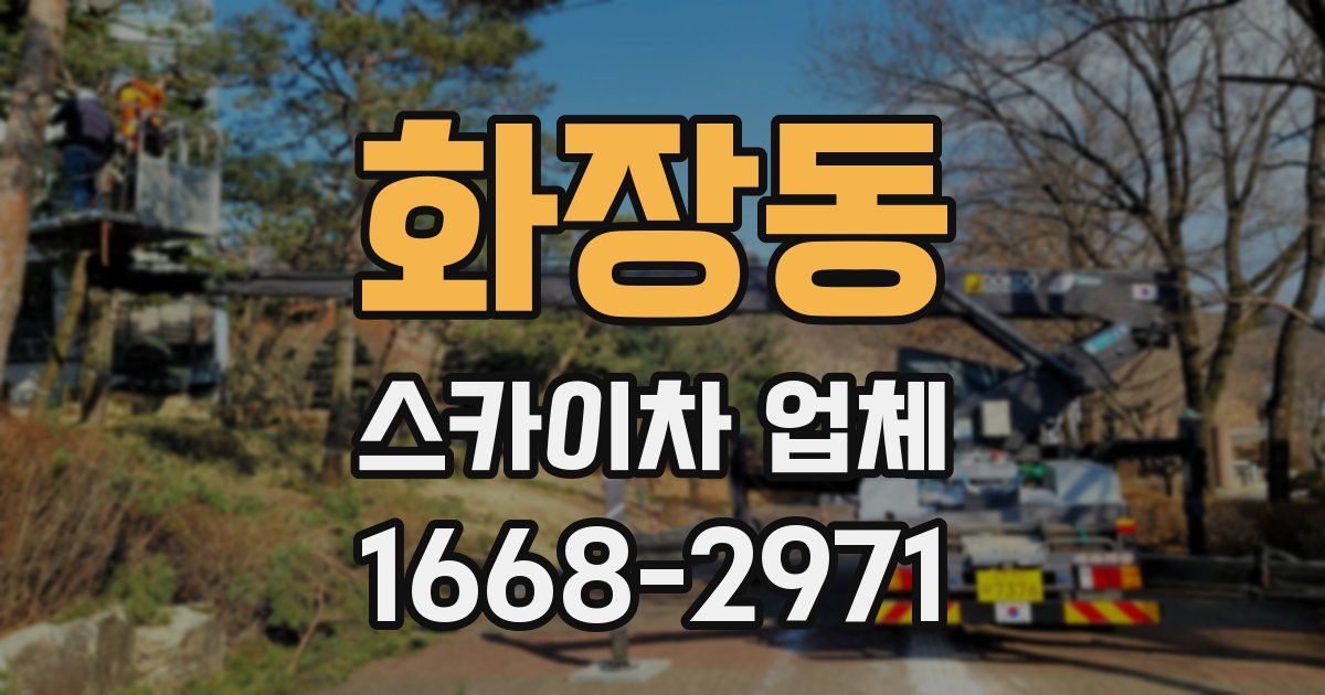 화장동 스카이차 업체