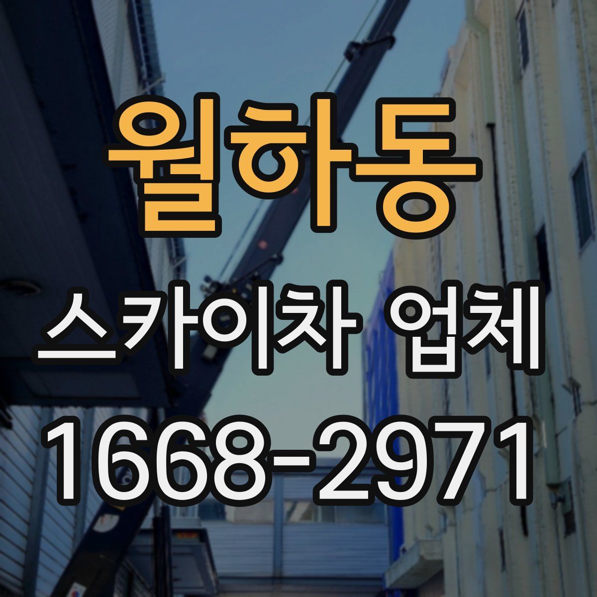 월하동 스카이차 업체