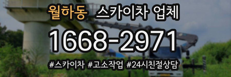 월하동 스카이차 업체