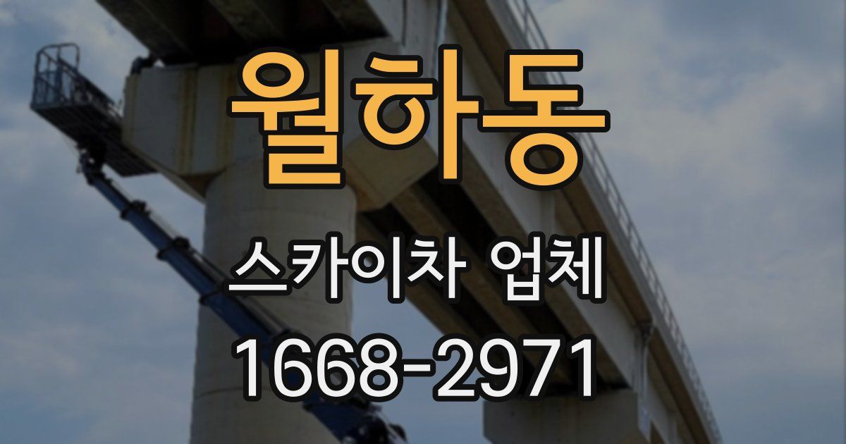 월하동 스카이차 업체