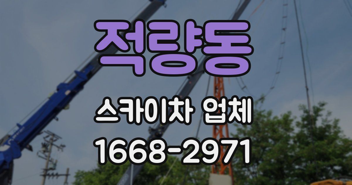 적량동 스카이차 업체