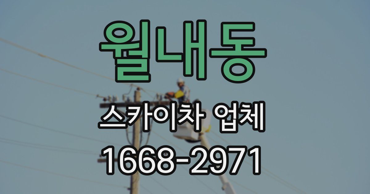월내동 스카이차 업체