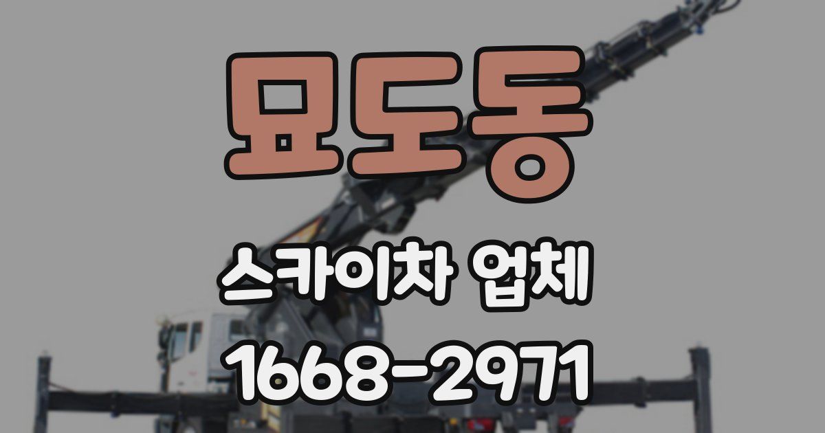 묘도동 스카이차 업체