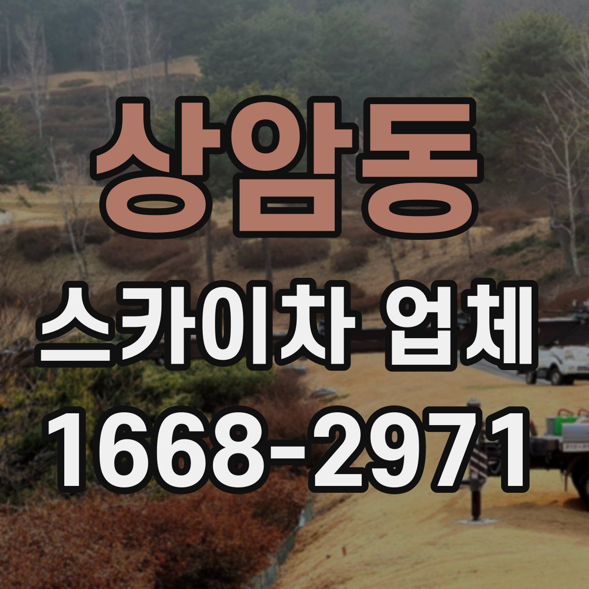 상암동 스카이차 업체